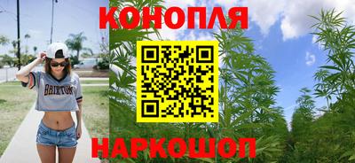 гашик Ливны