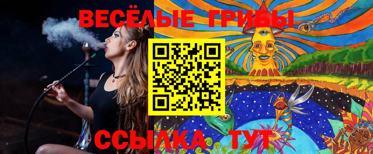 Псилоцибиновые грибы ЛСД  наркошоп  Шали 