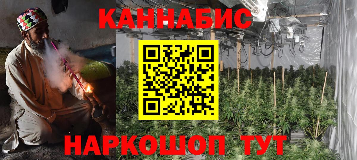 Конопля конопля  Бошки Шишки MAZAR  Шали  Бошки марихуана планчик 